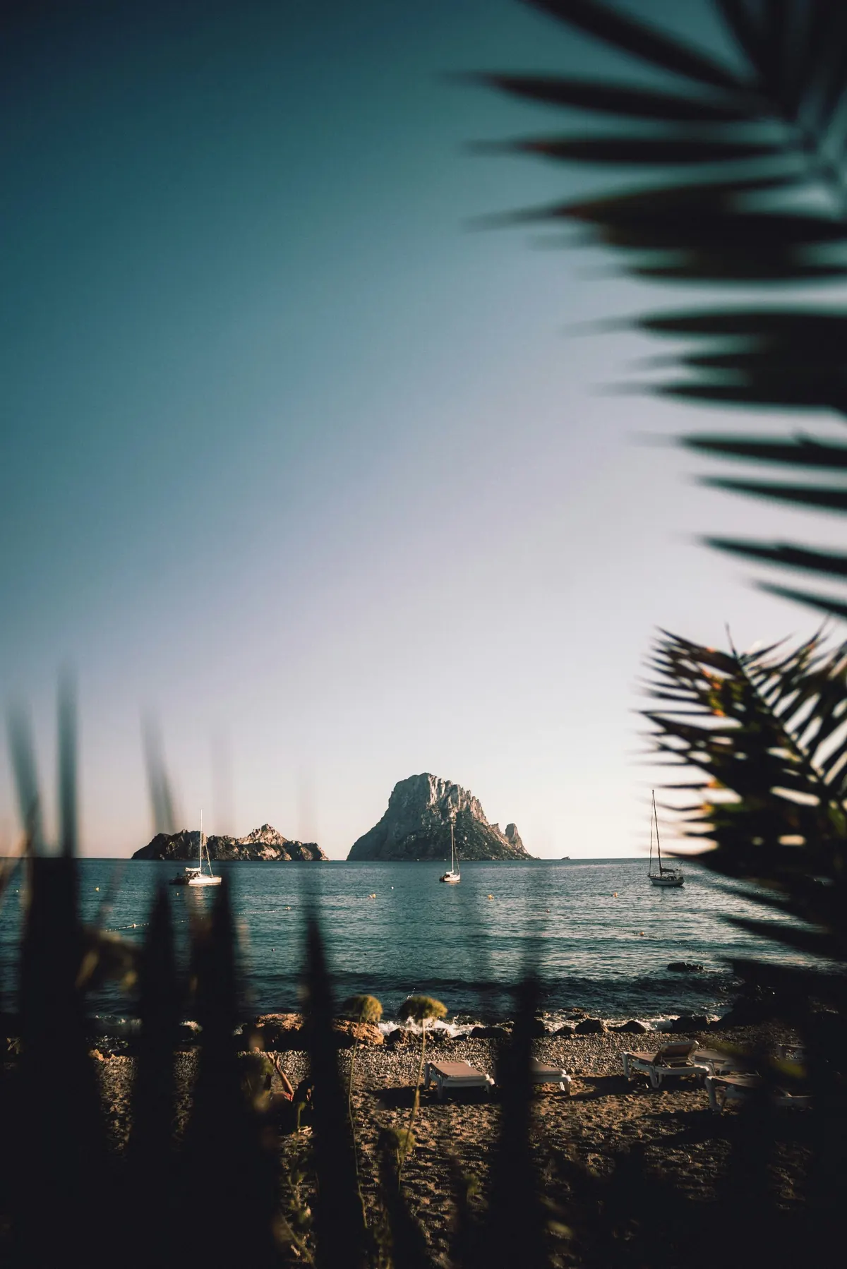 Silhouette of Es Vedra and a palm at dusk